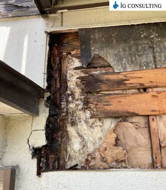 屋根表面の微細なクラックを見過ごした結果、雨水が浸入した被害写真